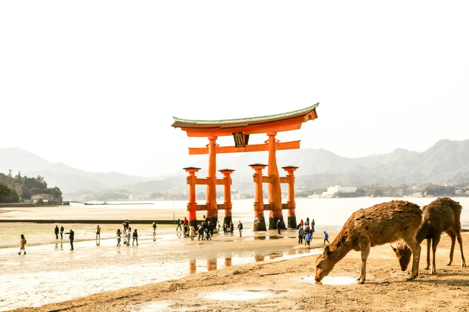 Miyajima