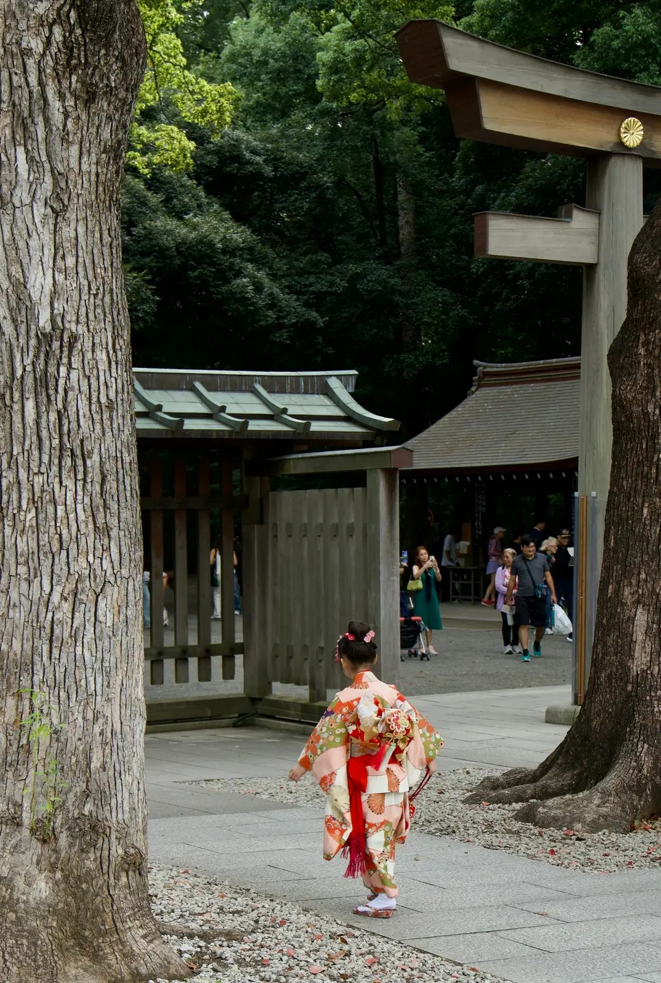 Family kimono photoshoot — 5