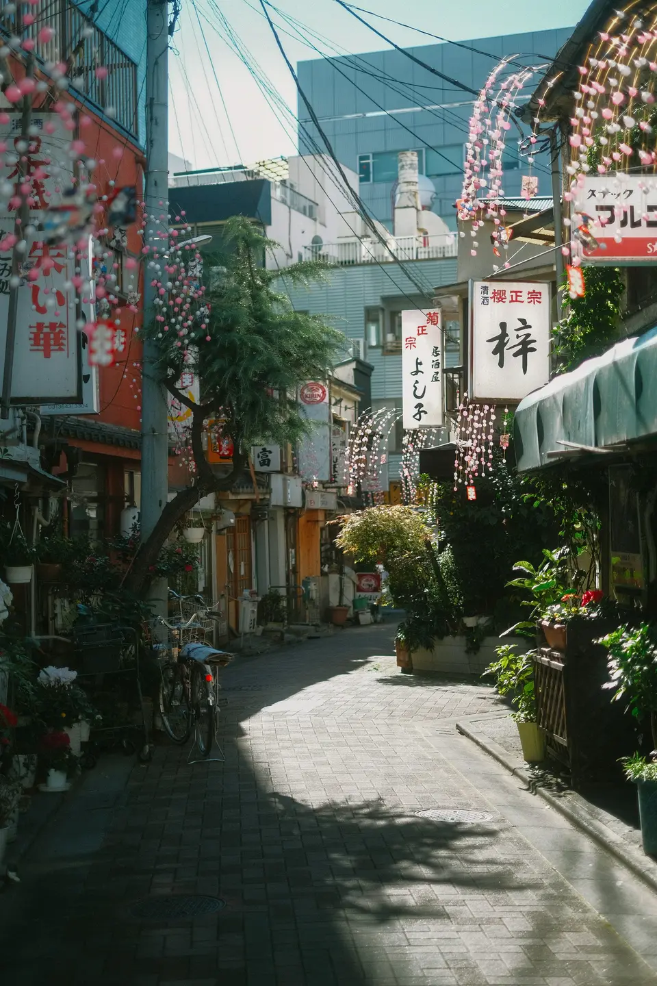 Japan photoshoot — 4