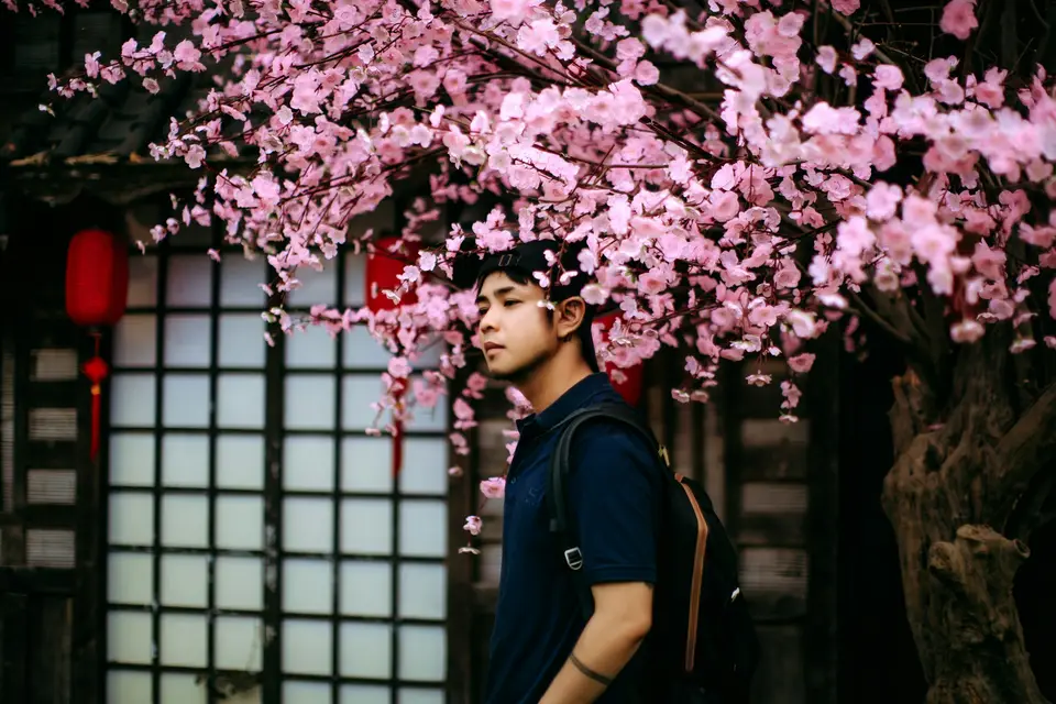 Cherry blossom photoshoot — 2