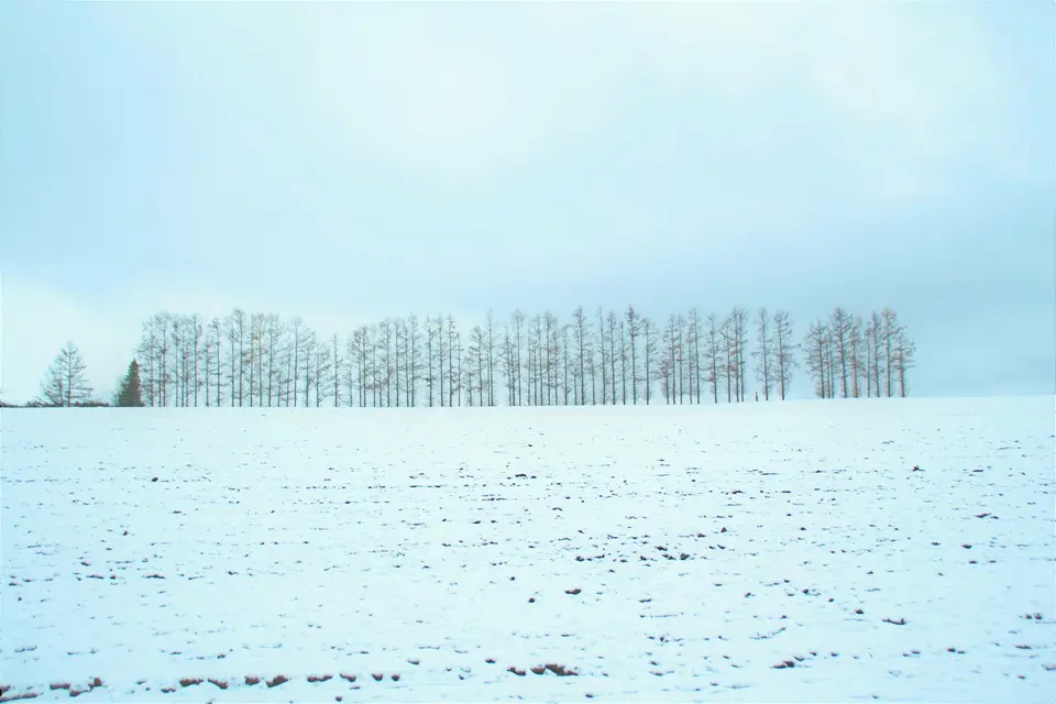 Snow photoshoot — 3