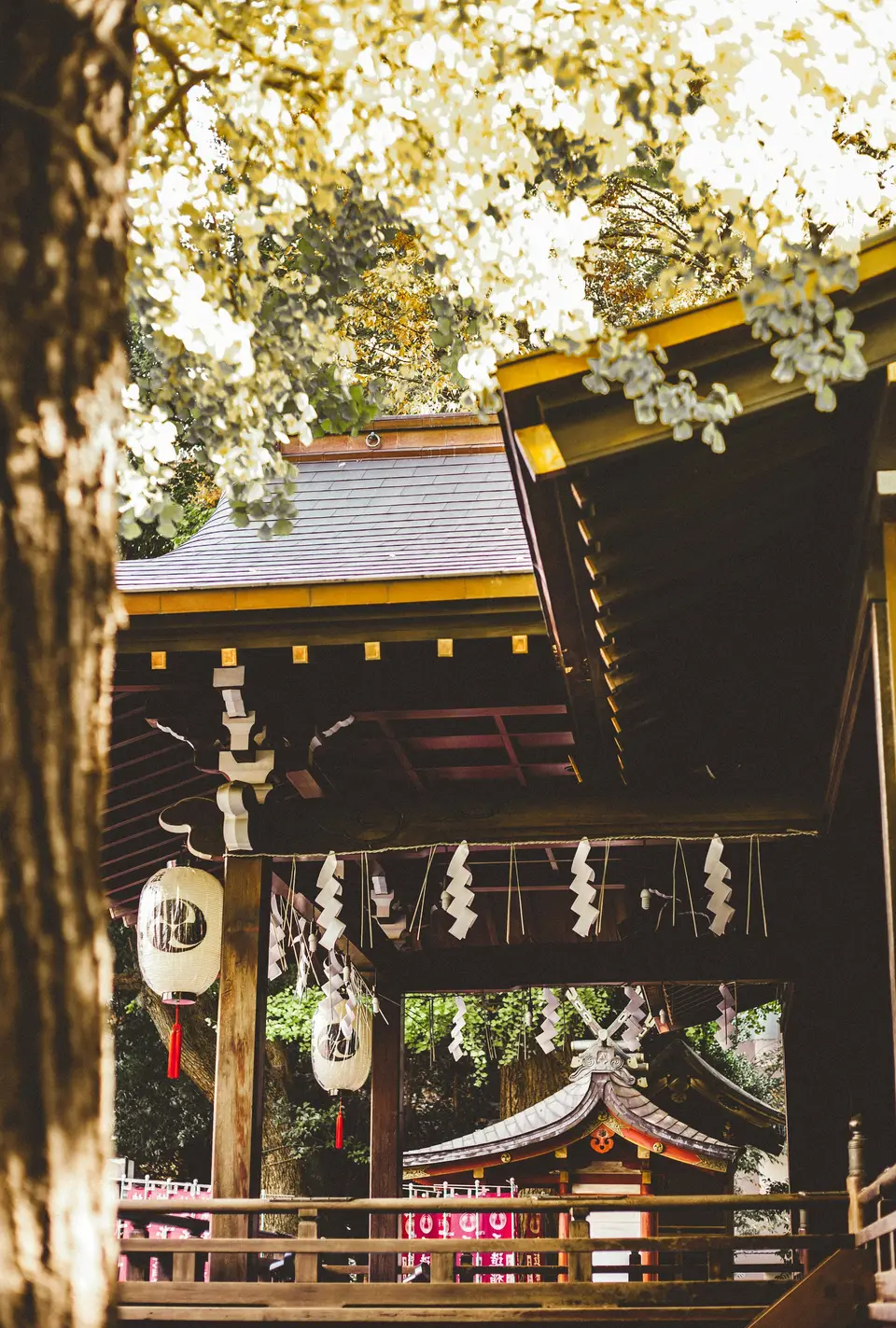 婚礼跟拍 — 4