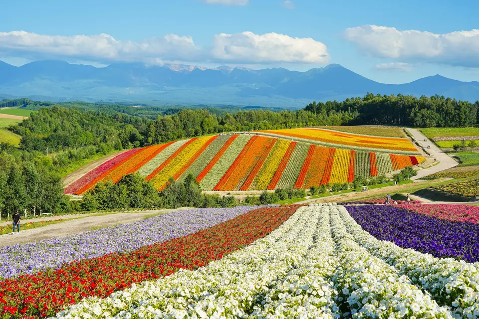 Aerial portrait in the landscape