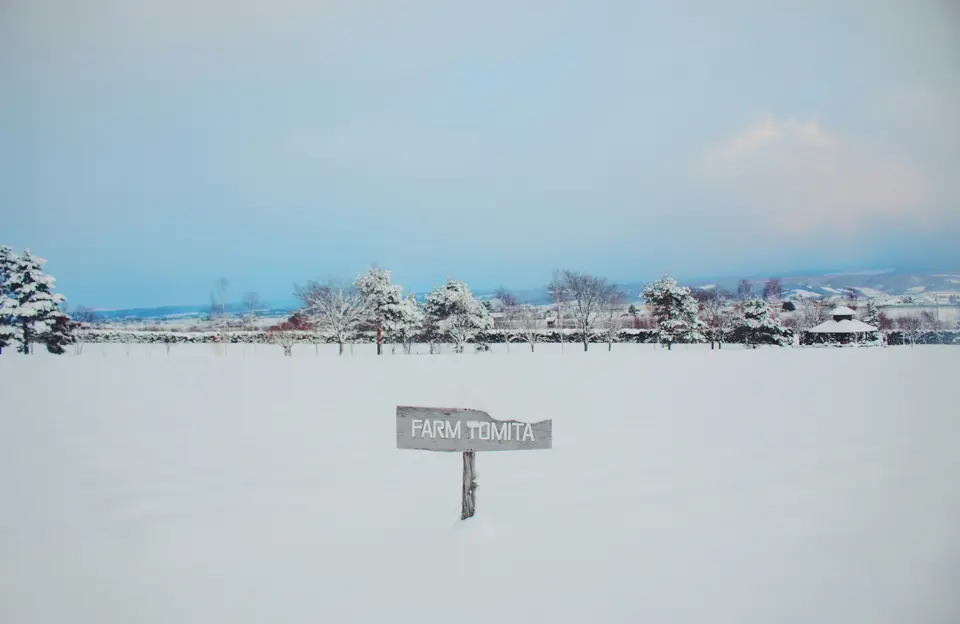 Snow photoshoot